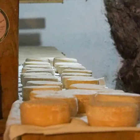 Κατάλυμα σε φάρμα Al Franet Tremosine